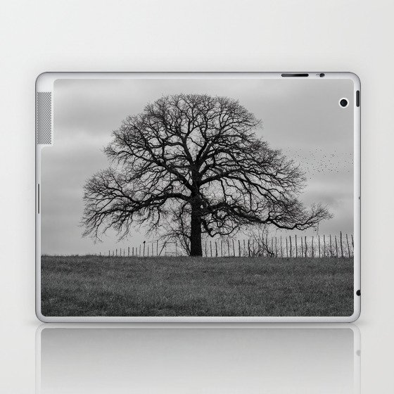 Spooky leafless tree on fence line silhouetted on the horizon against a gloomy sky Laptop & iPad Skin