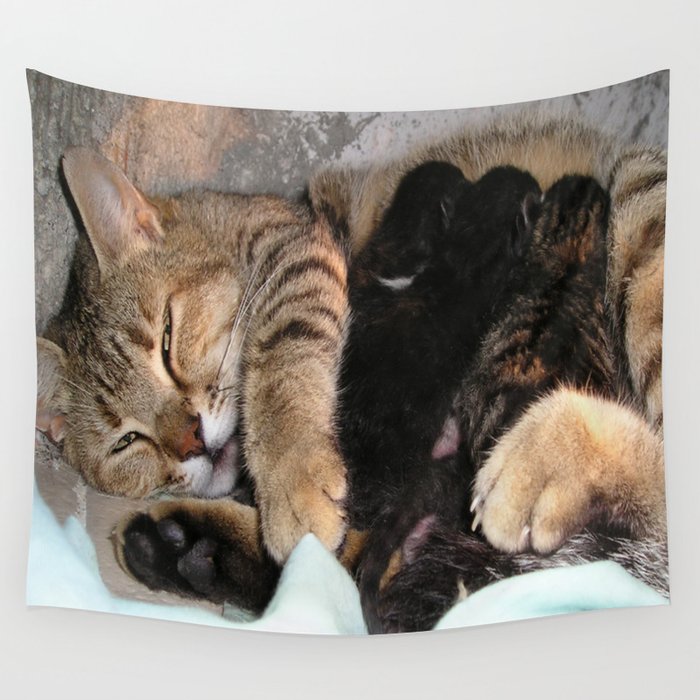 Mother Tabby Cat Suckling Four Newborn Kittens Wall Tapestry By Taiche Society6