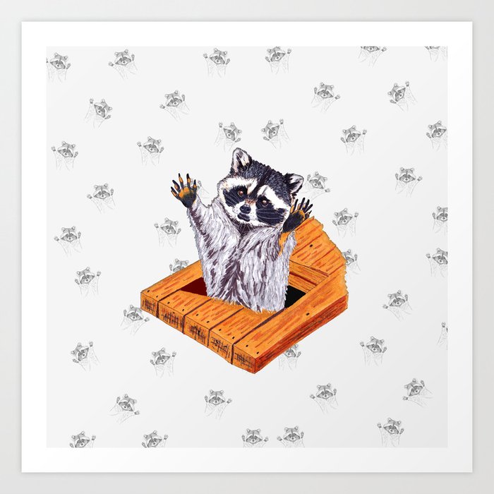 Peeking Raccoons #5 White Pallet - Art Print