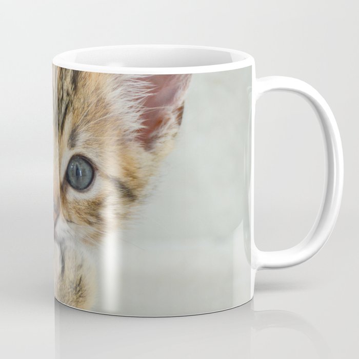 Smirking kitten Coffee Mug
