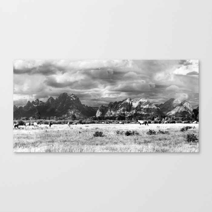 Horse and Grand Teton (Black and White) Canvas Print