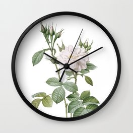 Vintage Autumn Damask Rose Botanical Illustration on Pure White Wall Clock