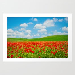 Bright Color Flower Field in Tuscany Italy Art Print