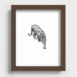 tiger 6 Recessed Framed Print