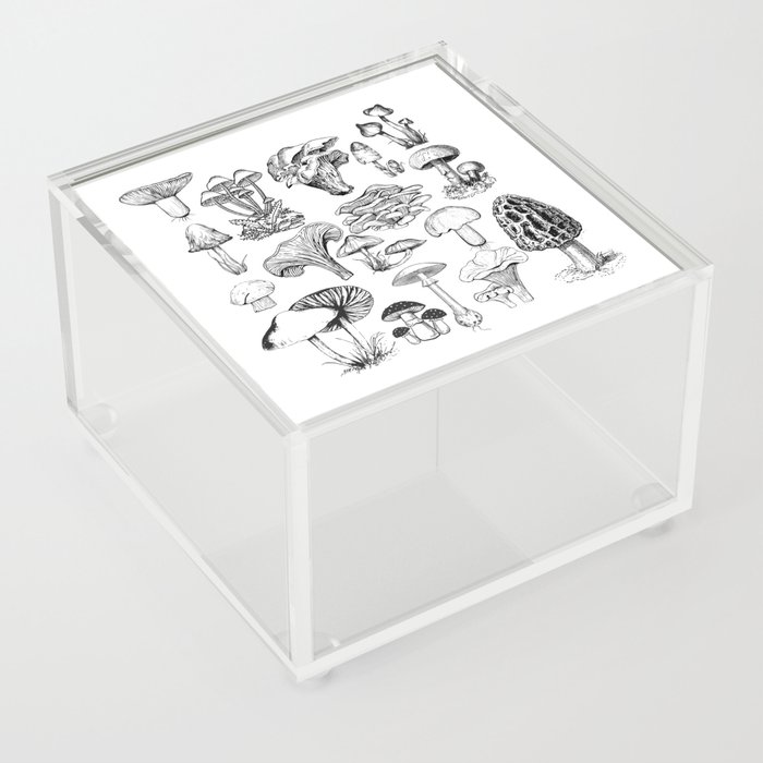 Mushrooms Print Acrylic Box