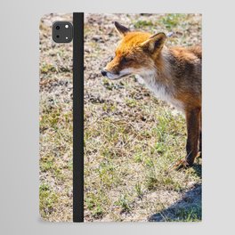 Dutch fox iPad Folio Case