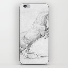 A Prancing Horse (black and white) illustration x George Stubbs iPhone Skin