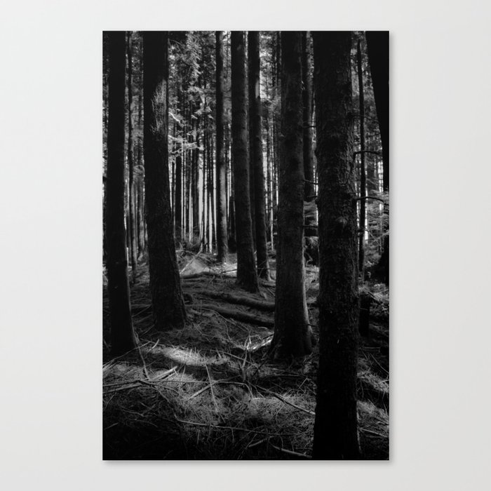 Black And White Forest Canvas Print By Petekurkowski Society6