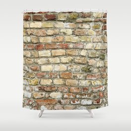 Old brick wall Shower Curtain