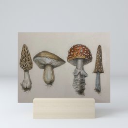 Field Notes: Mushrooms Mini Art Print