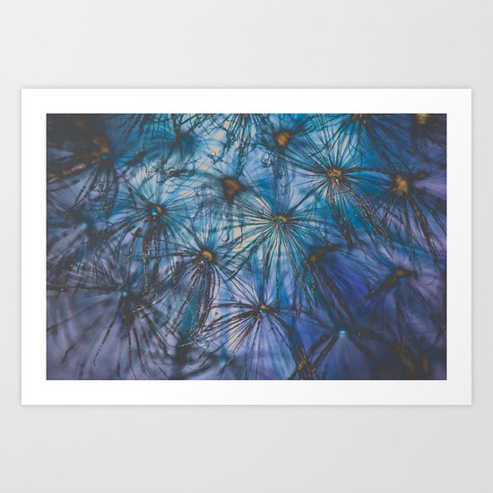 Cool Shades Art Print