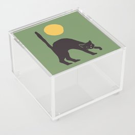 Angry Cat Acrylic Box