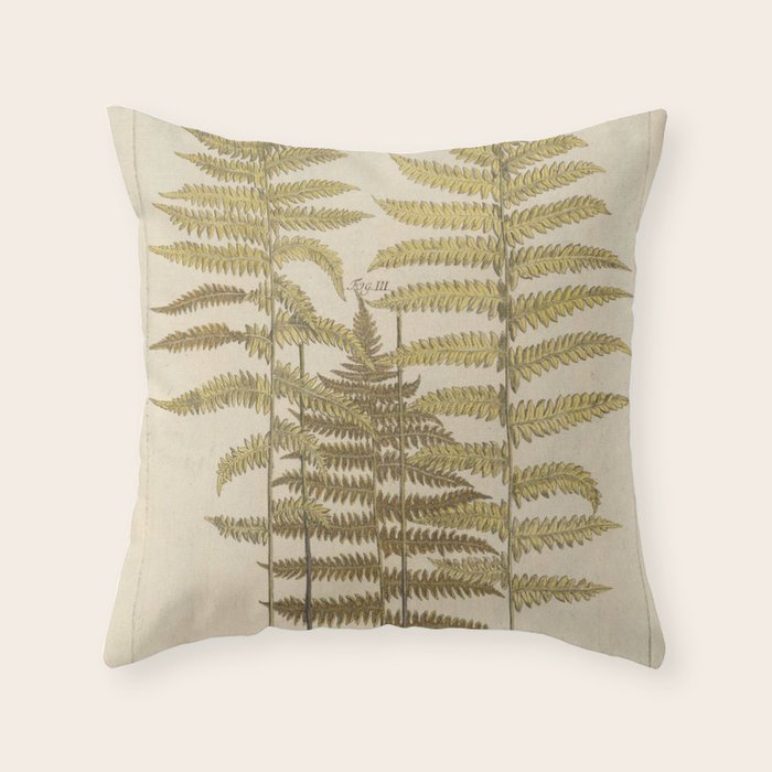 Vintage Fern Botanical Throw Pillow By Bluespecsstudio Society6