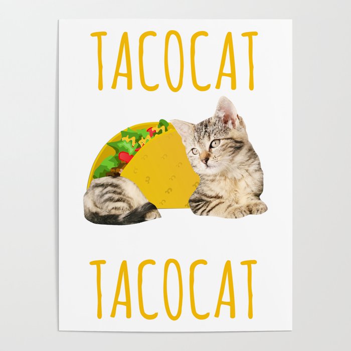 Witty kitty cat food shop