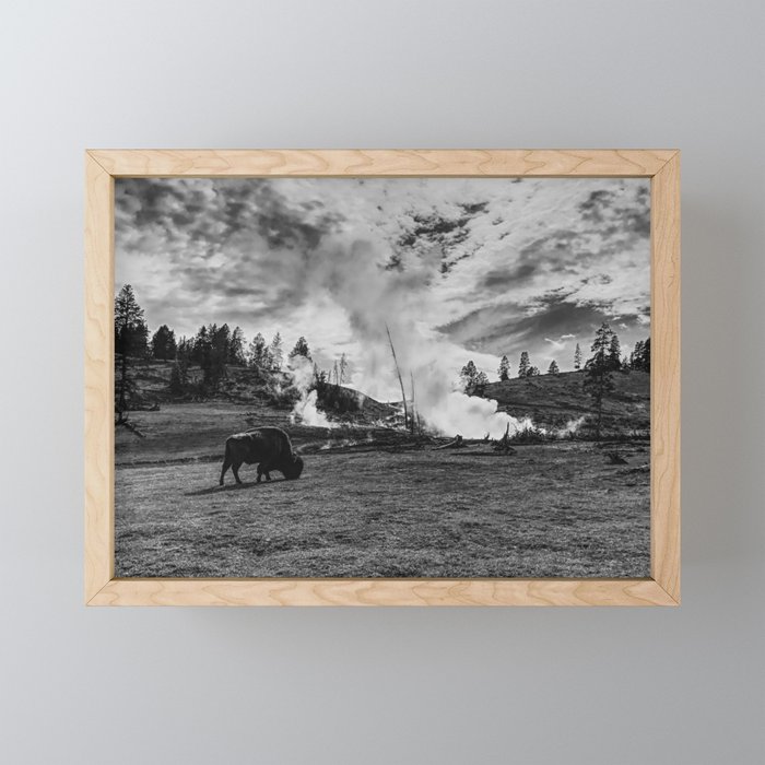 Yellowstone Buffalo Framed Mini Art Print