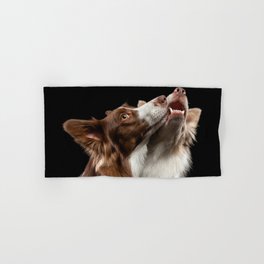 Two Border Collie dog Hand & Bath Towel