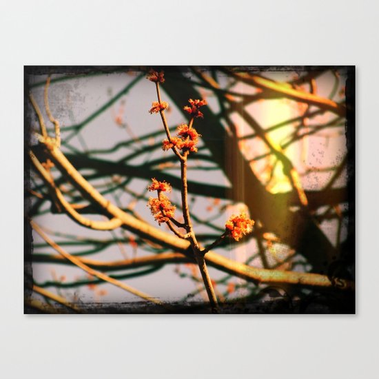 Spring Canvas Print
