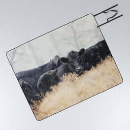Black Angus Calves Beef Herd Cows Picnic Blanket