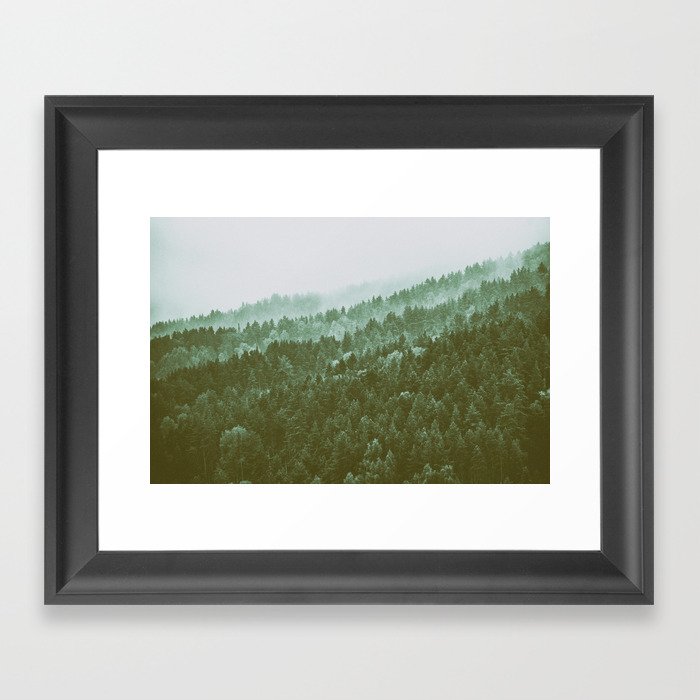 Forest in the fog Framed Art Print