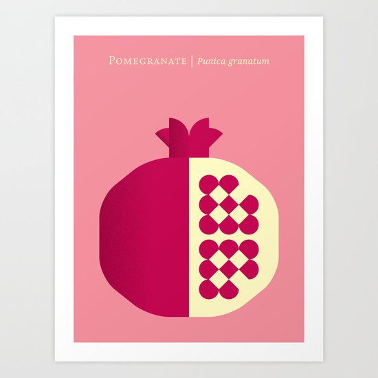 Fruit: Pomegranate Art Print
