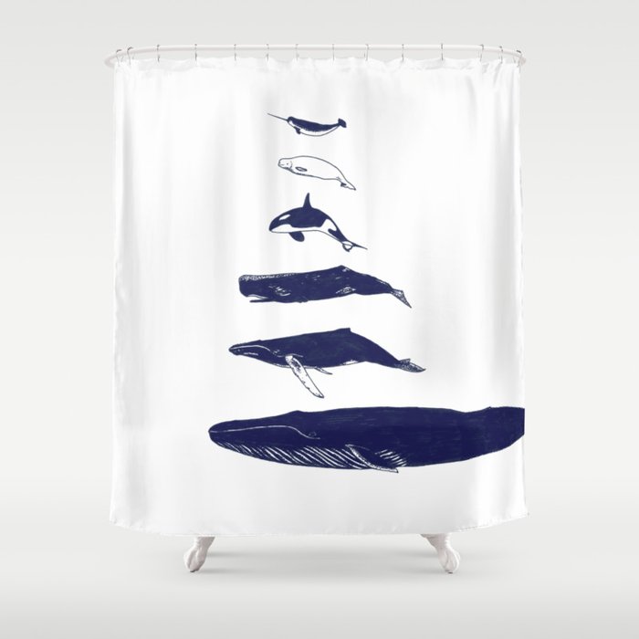 Whale Art Narwhal Beluga Killer Whale Orca Humpback