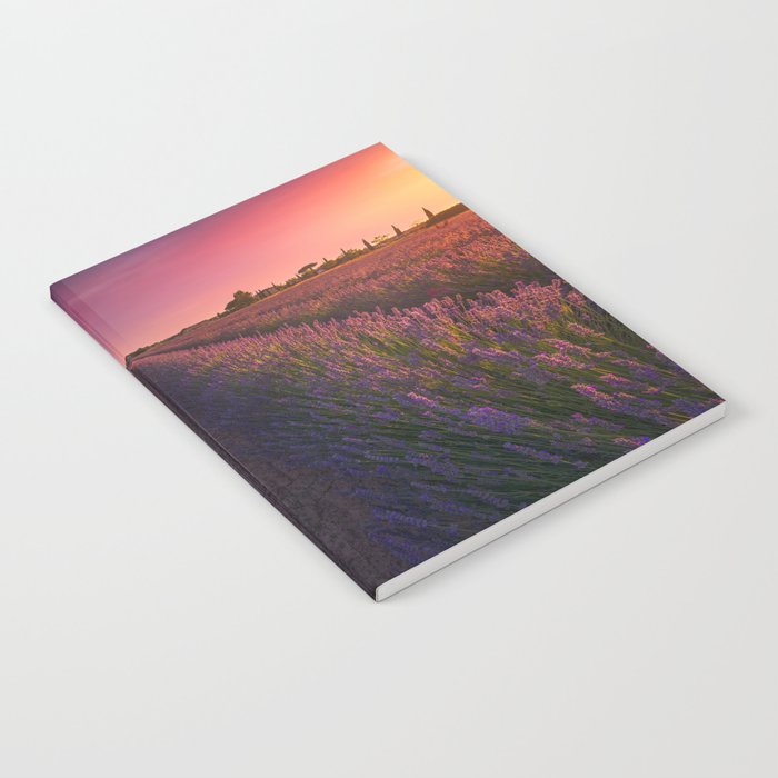 Lavender flowers fields at sunset. Cecina, Tuscany Notebook