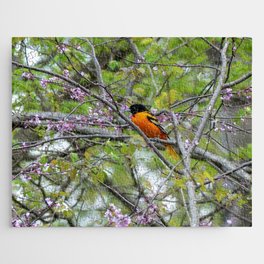 Baltimore Oriole Jigsaw Puzzle