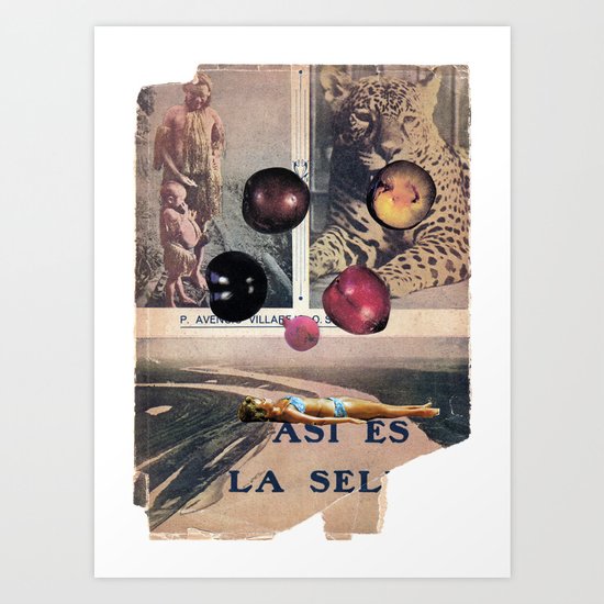 PLUMS Art Print