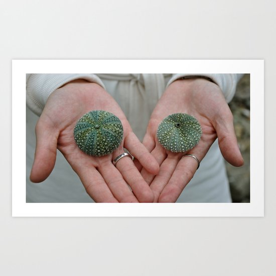 Sea Urchins in Hands Art Print
