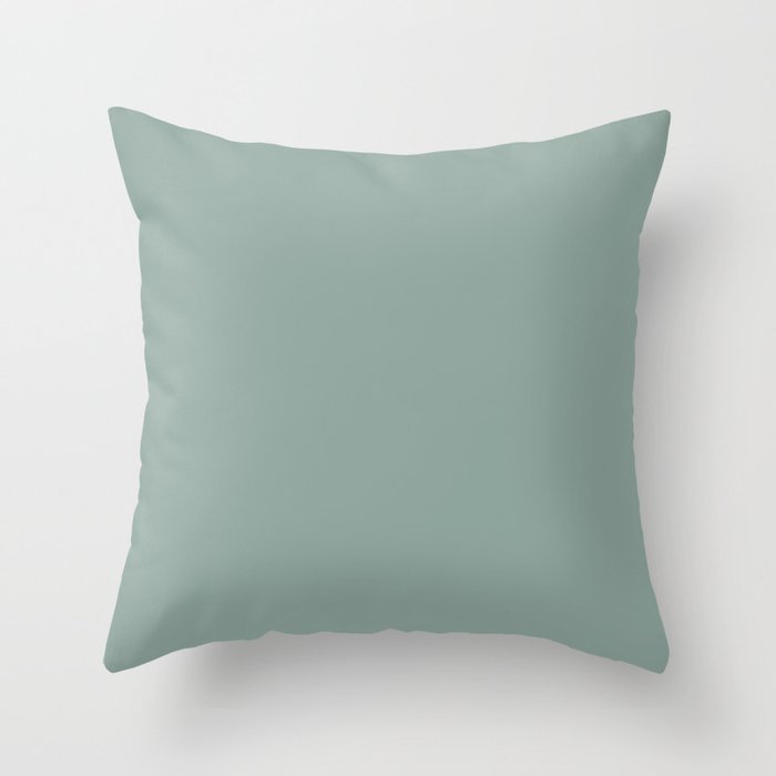 Organic Pastel Aqua Solid Color Accent Shade / Hue Matches Sherwin Williams Calico SW 0017 Throw Pillow