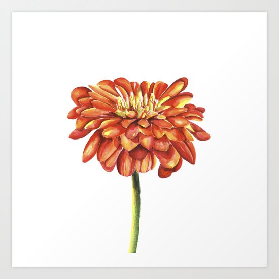 Red flower. Watercolor Art Print