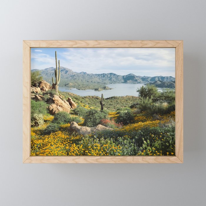 Framed Mini Art Print