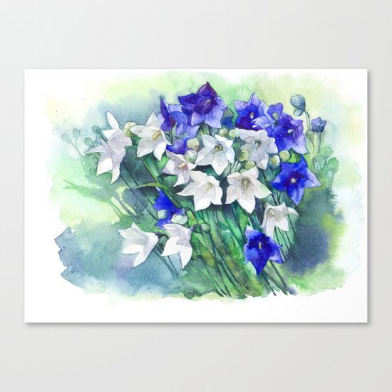 Campanula watercolor flowers, aquarelle bellflowers Canvas Print