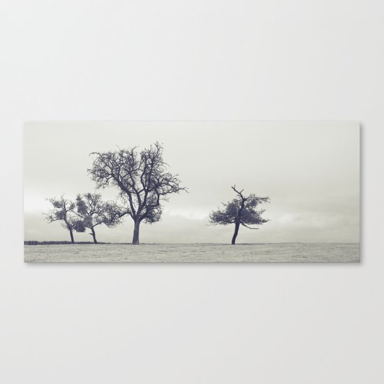 bleak trees... Canvas Print