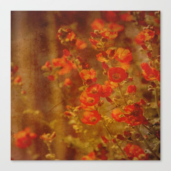 Serenade Canvas Print