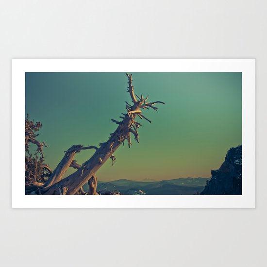 masonry Art Print
