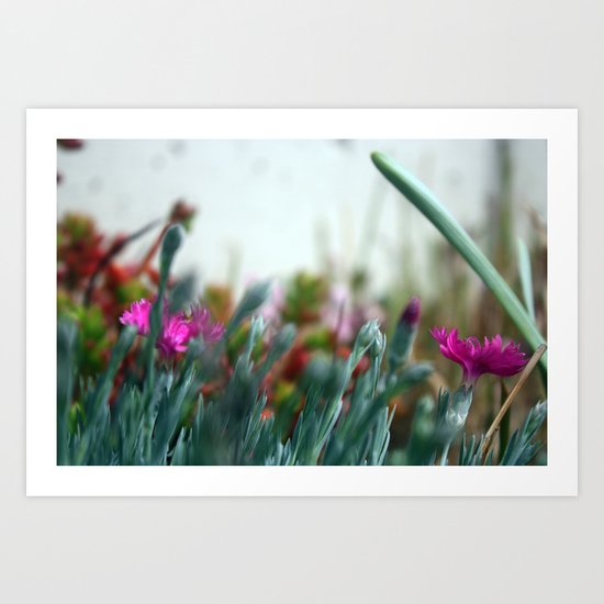 1 Art Print