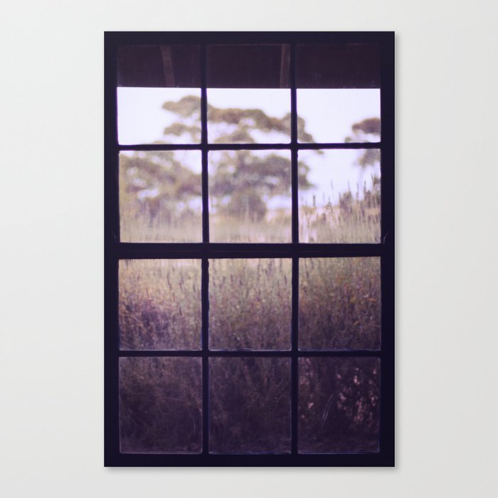 The View from the Window Canvas Print