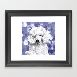 A Poodle. (Painting.) Framed Art Print