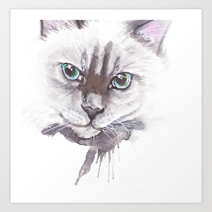Cat Ragdoll Watercolor Painting Art Print By Rayaart89 Society6