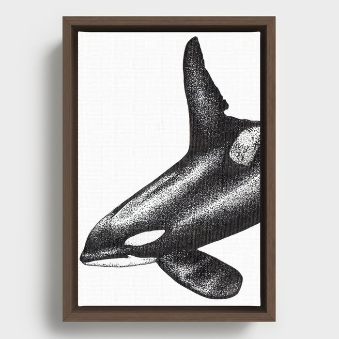 Orca killer whale ink art Framed Canvas