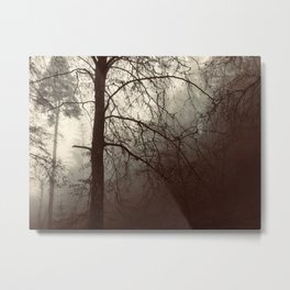 Fairytale Forest 3 Metal Print