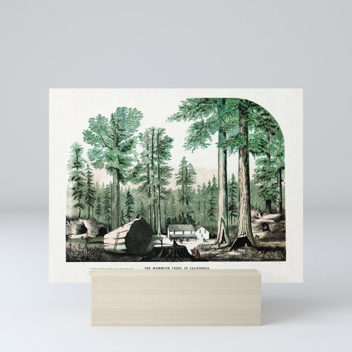 Mammoth Trees of California Mini Art Print