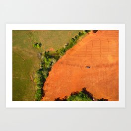 Fine art aerial photography by Okke Ornstein. Pineapple fields in Panama. Art Print