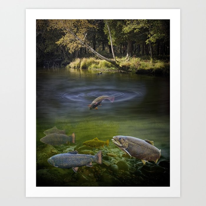Stream Brown Trout in a Fresh Water Trout River Art Print