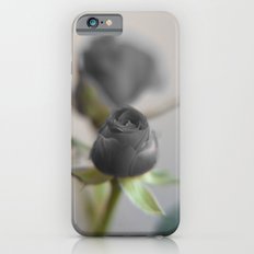 A Black Rose for Your Sweetheart