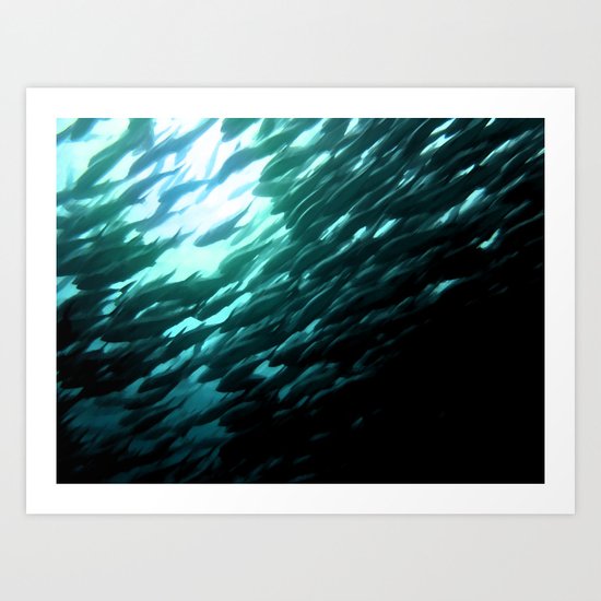 Thousands of jack fish Art Print