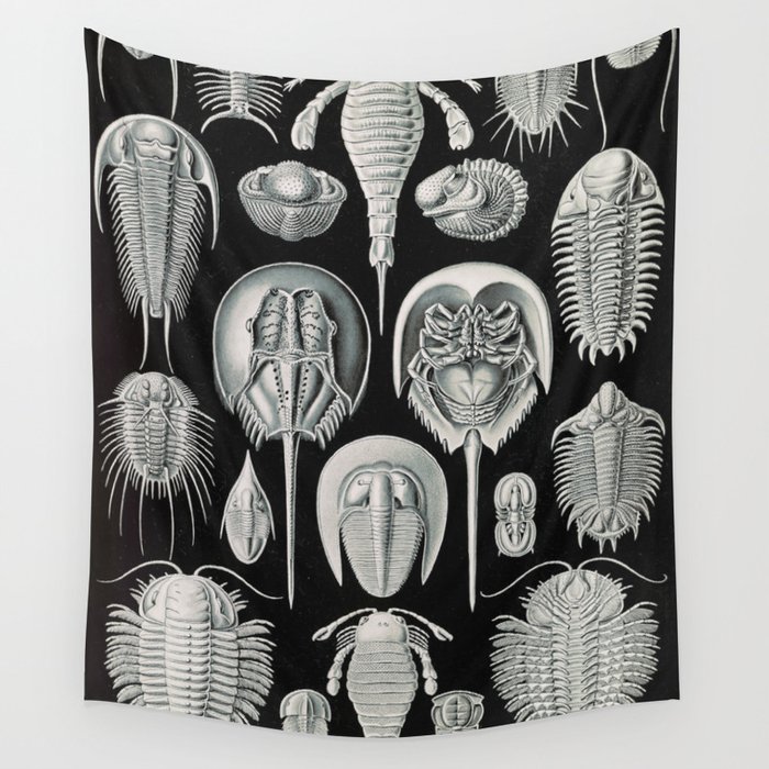 Ernst Haeckel Horseshoe Crab Vintage Illustration Wall Tapestry