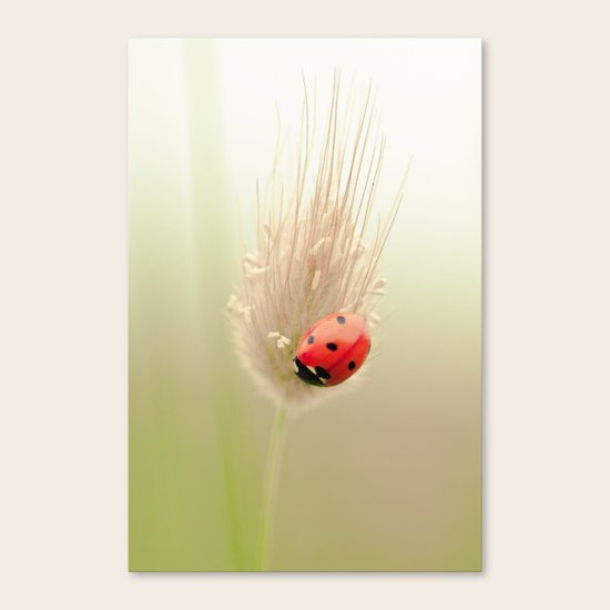 Upside down Canvas Print
