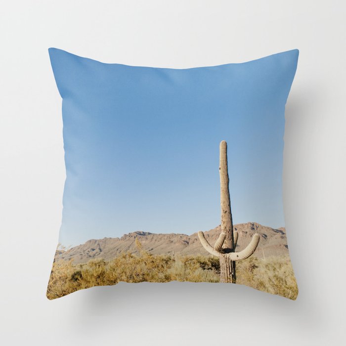 Arizona Landscape Throw Pillow
